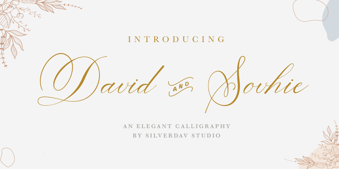 Пример шрифта David And Sovhie #1